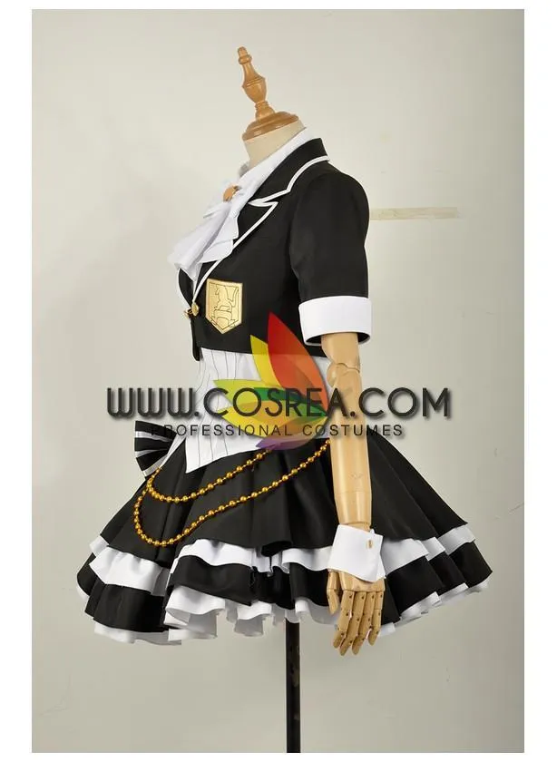 Fate Astolfo Costume - Get the Best Idol Cosplay Outfit