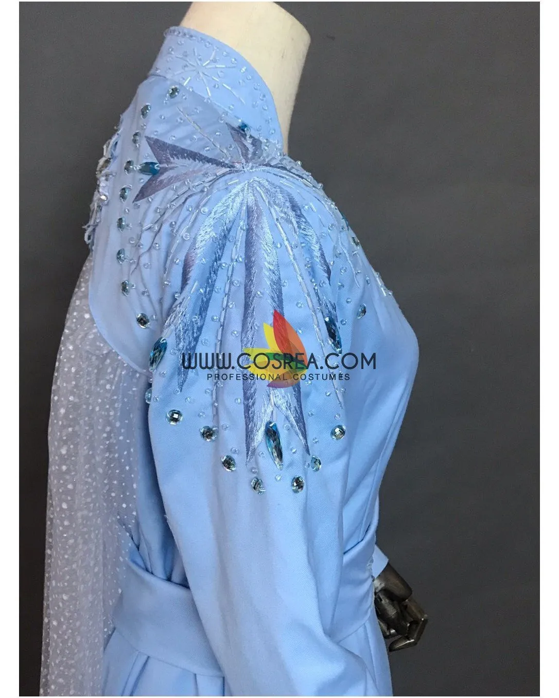 Frozen 2 Elsa Costume with Embroidery | Travel Cosplay Outfit