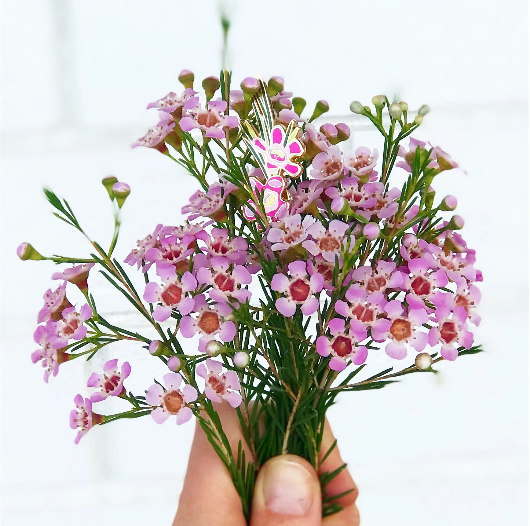 Geraldton Wax Flower Pin