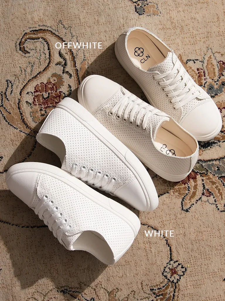 Zinia Lace-up Sneakers - Best Deals, Affordable Prices, Shop Now!